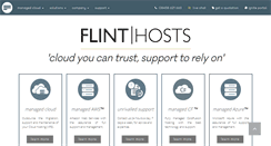 Desktop Screenshot of flinthosts.co.uk